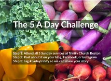 5-a-day-challenge