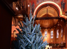 christmas tree in gold and red church sanctuary